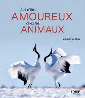 L'art d'être amoureux chez les animaux by Vincent Albouy