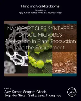 Read: Nanoparticles Synthesis by Soil Book Microbes