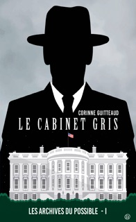 Le cabinet gris by Corinne Guitteaud