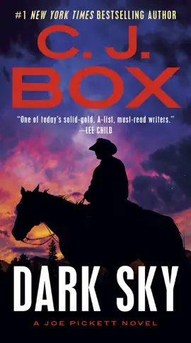 Read: Book Dark Sky