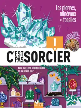 Read: C'est pas Book sorcier - Fossiles, pierres et minéraux