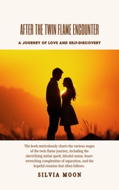 After the Twin Flame Encounter