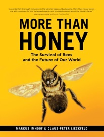 More Than Honey