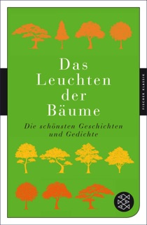 Das Leuchten der Bäume by Lucas Walter