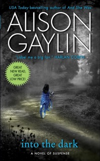 Into the Dark by Alison Gaylin