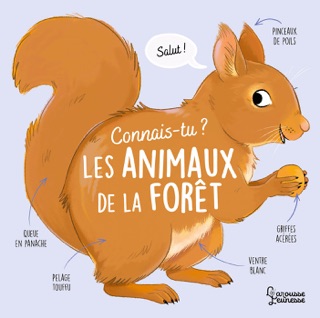 Connais-tu les animaux de la forêt ? by Agnès Besson & Axelle VANHOOF