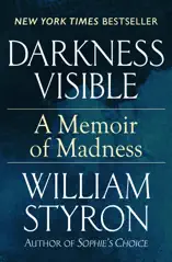 Darkness Visible