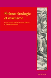 Phénoménologie et marxisme by Matteo Vincenzo d'Alfonso & Pierre-François Moreau