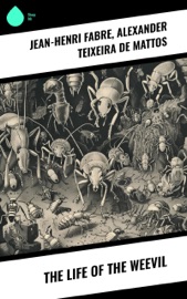 The Life of the Weevil - Jean-Henri Fabre & Alexander Teixeira de Mattos