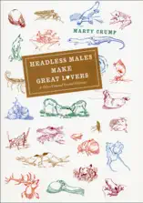 Headless Males Make Great Lovers