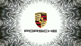Porsche Motor-Cars 2014-2015