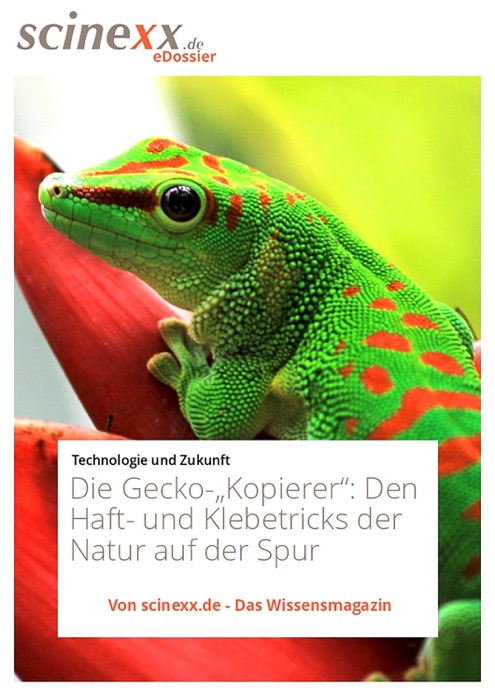 Die Gecko-