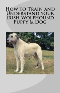 How to Train and Understand your Irish Wolfhound Puppy & Dog by Vince Stead