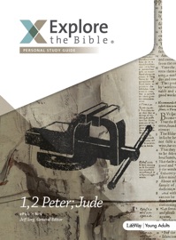 Explore the Bible: Young Adult Personal Study Guide - NIV - Jeff Iorg