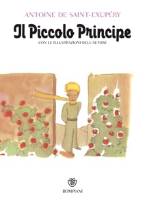 Il Piccolo Principe Book Cover