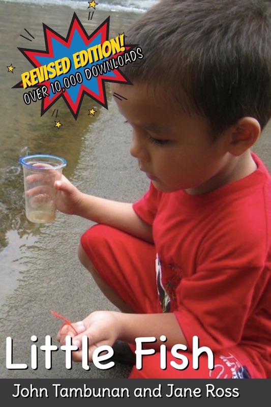 Little Fish