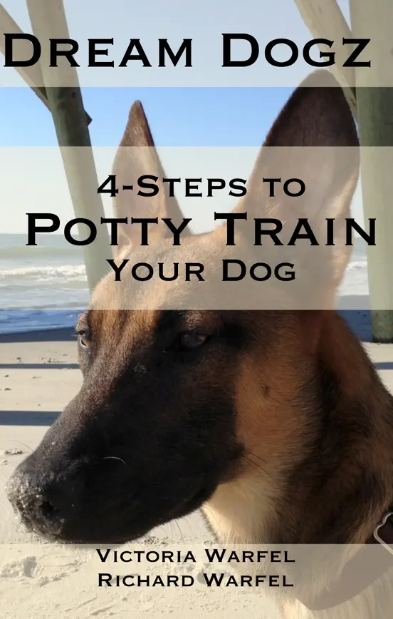 4 Steps to Potty Train Your Dog