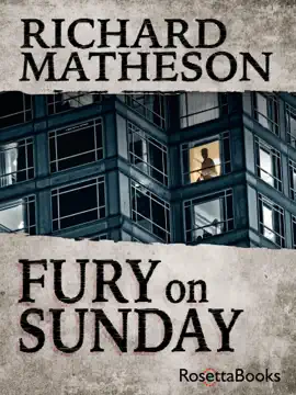 Read: Fury on Sunday Book
