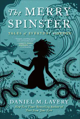 Read: The Merry Spinster Book