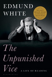 The Unpunished Vice - Edmund White
