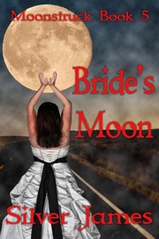Bride's Moon - Silver James