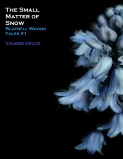 The Small Matter of Snow by Valerie Bruce