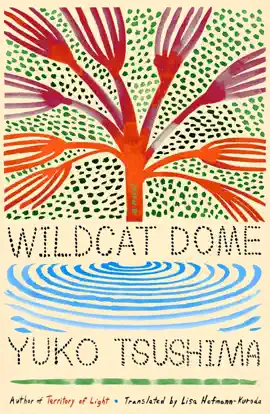 Read: Wildcat Dome Book