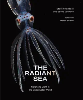 The Radiant Sea