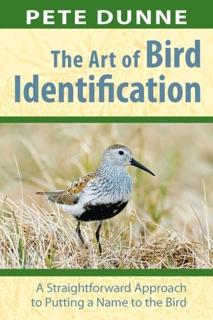 Art of Bird Identification by Pete Dunne & David Gothard
