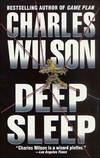 Deep Sleep by Charles Wilson