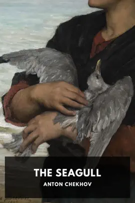 Read: The Book Seagull