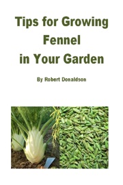 Tips for Growing Fennel in Your Garden - Robert Donaldson
