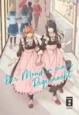 Der Mond in einer Regennacht 07
