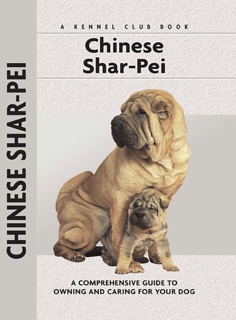 Chinese Shar-Pei by Juliette Cunliffe