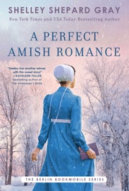 A Perfect Amish Romance - Shelley Shepard Gray
