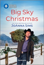 Big Sky Christmas - Joanna Sims