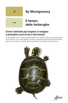 Il tempo delle tartarughe