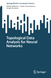 Topological Data Analysis for Neural Networks