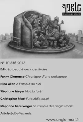 Read: Angle Mort Book numéro 10