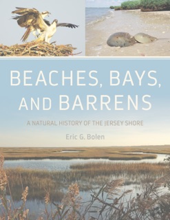 Beaches, Bays, and Barrens by Eric G. Bolen