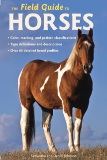 The Field Guide to Horses by Samantha Johnson & Daniel Johnson