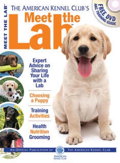 Meet the Lab by American Kennel Club