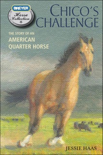 Chico's Challenge by Jessie Haas