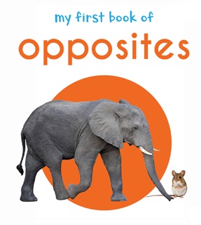 My First Book of Opposites by Wonder House Books