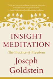 Insight Meditation - Joseph Goldstein