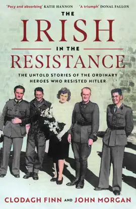 Read: Book The Irish in the Resistance