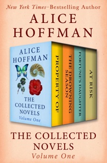 The Collected Novels Volume One by Alice Hoffman