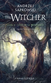 Sorceleur (Witcher), T2 : L'Épée de la providence (traduction révisée) by Andrzej Sapkowski & Alexandre Dayet