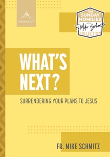 What's Next? Surrendering Your Plans to Jesus by Fr. Mike Schmitz