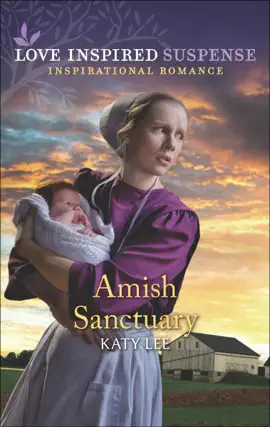 Read: Book Amish Sanctuary